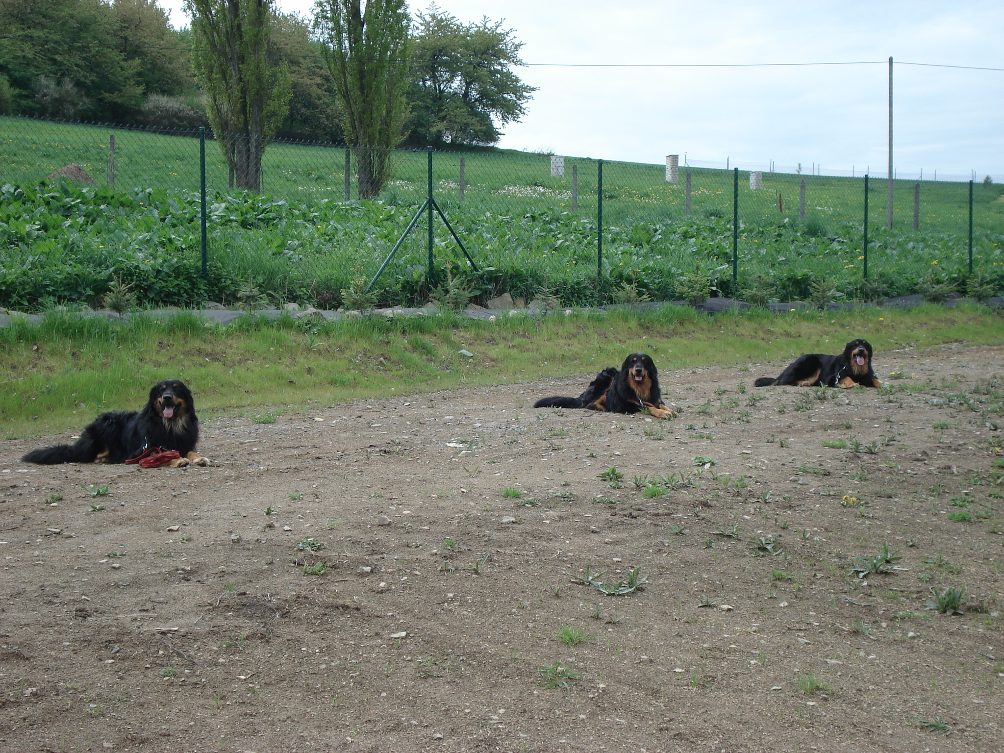 DSC02084.JPG